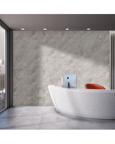 Jupiter rock Grey 60x60 room